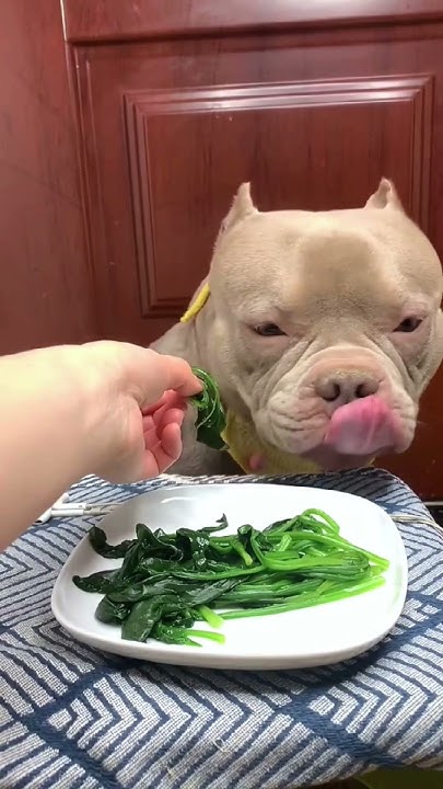 The Thing from Another World (1951)