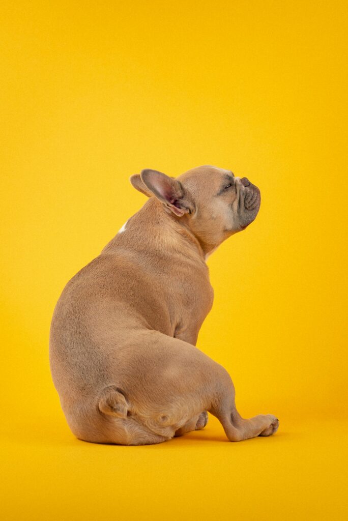 A dog feeling kramp! 